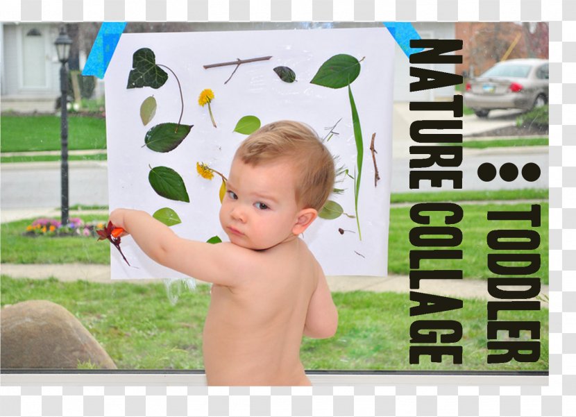 Toddler Green Picture Frames Advertising - Infant - Elmer's Day Transparent PNG
