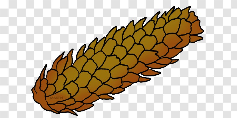 Blue Spruce Conifer Cone Pine Tree Clip Art - Organism Transparent PNG