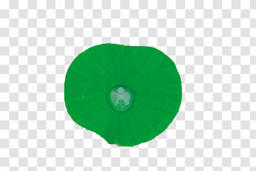 Green Leaf Circle - Deer On The Lotus Transparent PNG
