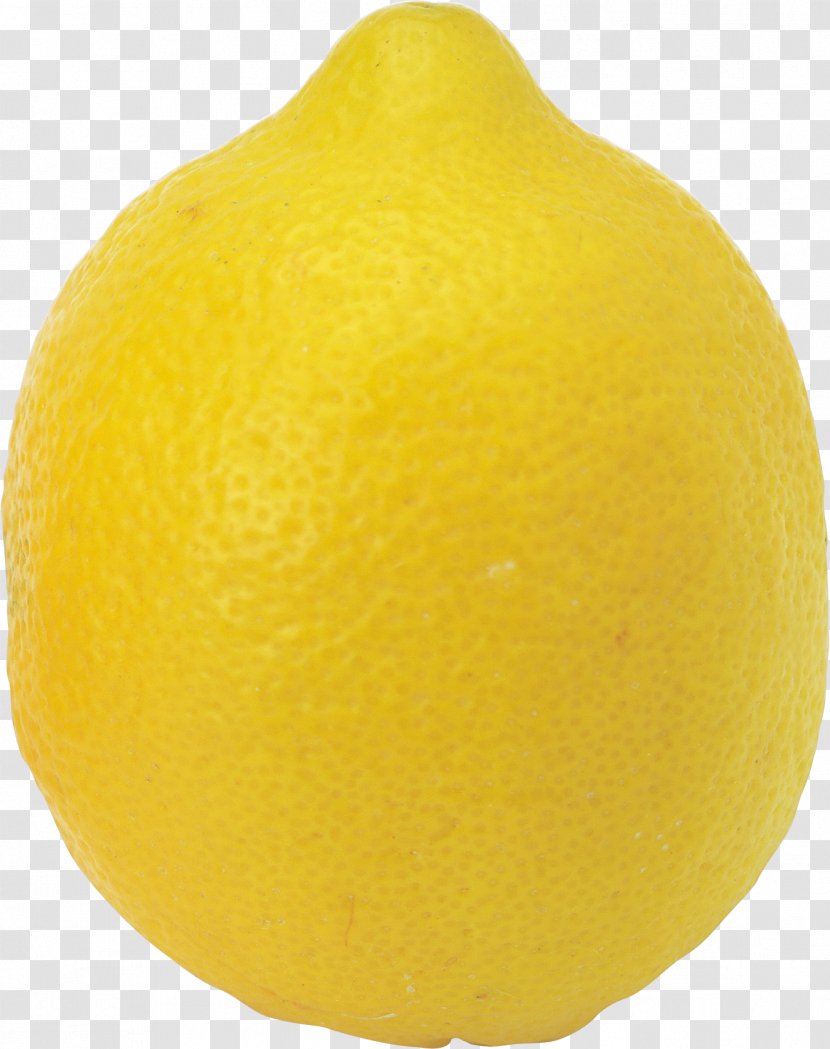 Lemon-lime Drink Rutaceae Citron - Citrus Fruit - Lemon Transparent PNG