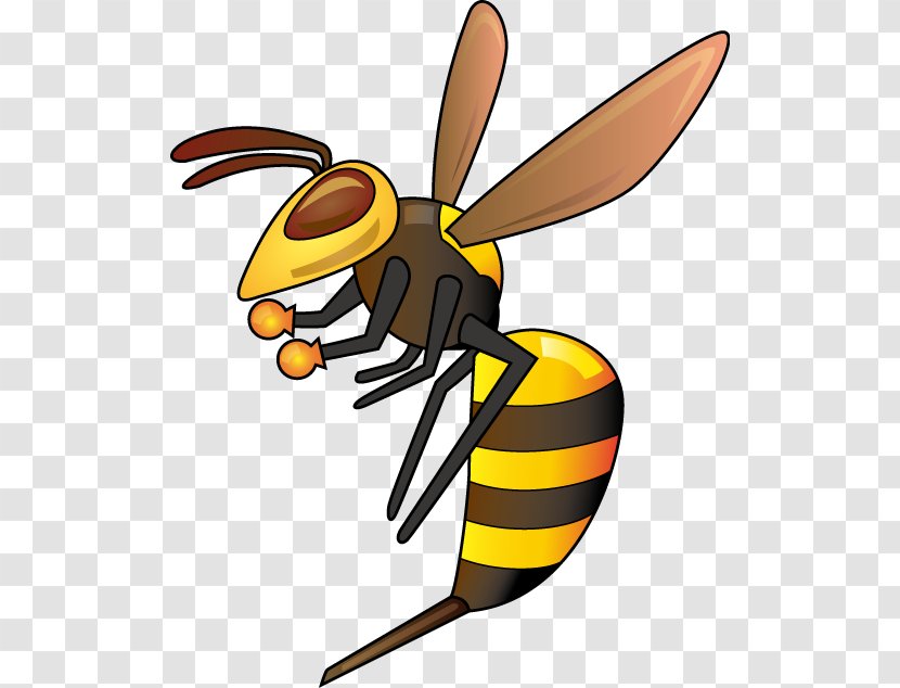 Insect True Wasps Bee Pest - Cartoon Transparent PNG