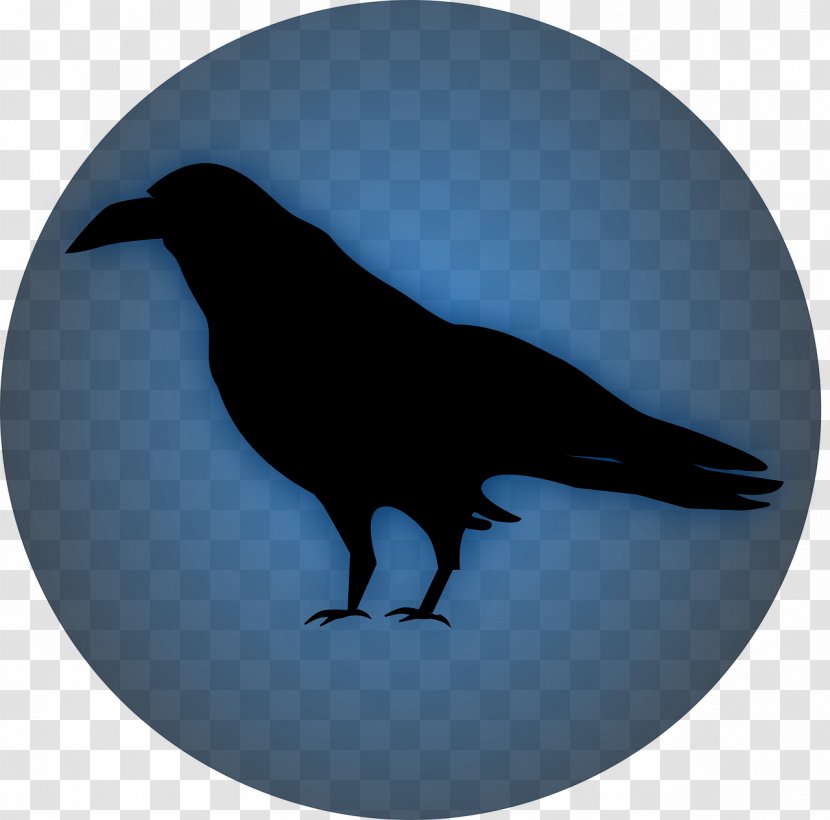 Common Raven Bird Clip Art - Crows Transparent PNG