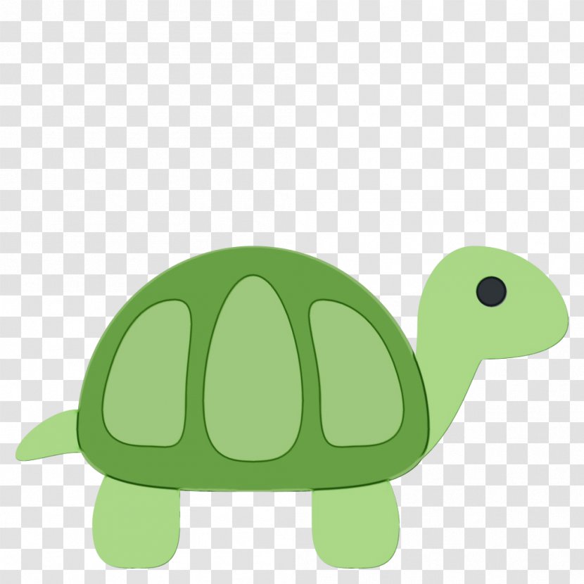 Sea Turtle Background - Thailand - Toy Pond Transparent PNG