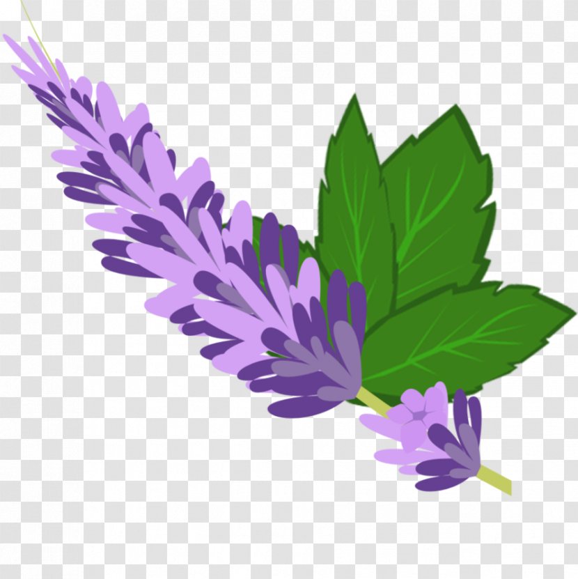 Pony Lavender Color Purple Green Transparent PNG