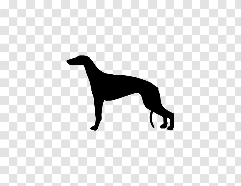 Italian Greyhound Whippet Sloughi Spanish - Polyvinyl Chloride Transparent PNG