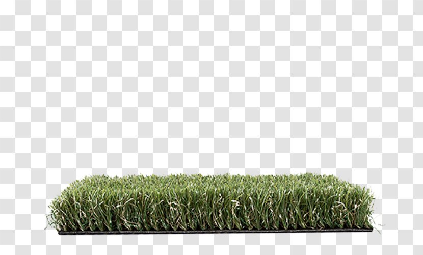 Artificial Turf Lawn Garden Synthetic Fiber Luxury Goods - Grasses Transparent PNG