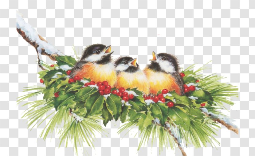 Christmas Ornament Beak Branching - Bird Transparent PNG