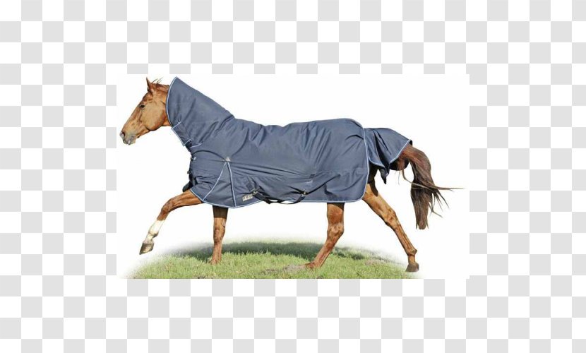 Horse Blanket Pony Equestrian - Polar Fleece Transparent PNG