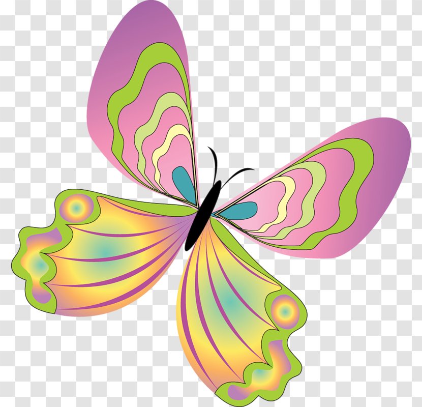 Butterfly Clip Art Image Illustration - Lepidoptera Transparent PNG