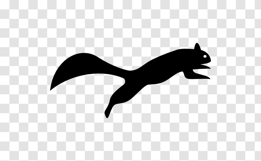 Skunk Raccoon Squirrel Canidae Clip Art Transparent PNG