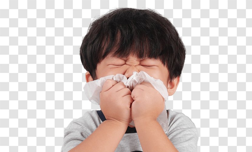 Nose Hay Fever Child Sneeze Allergy - Flu Protection Transparent PNG