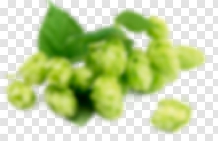 Beer Hops Common Hop Ale Food - Hiccup Transparent PNG