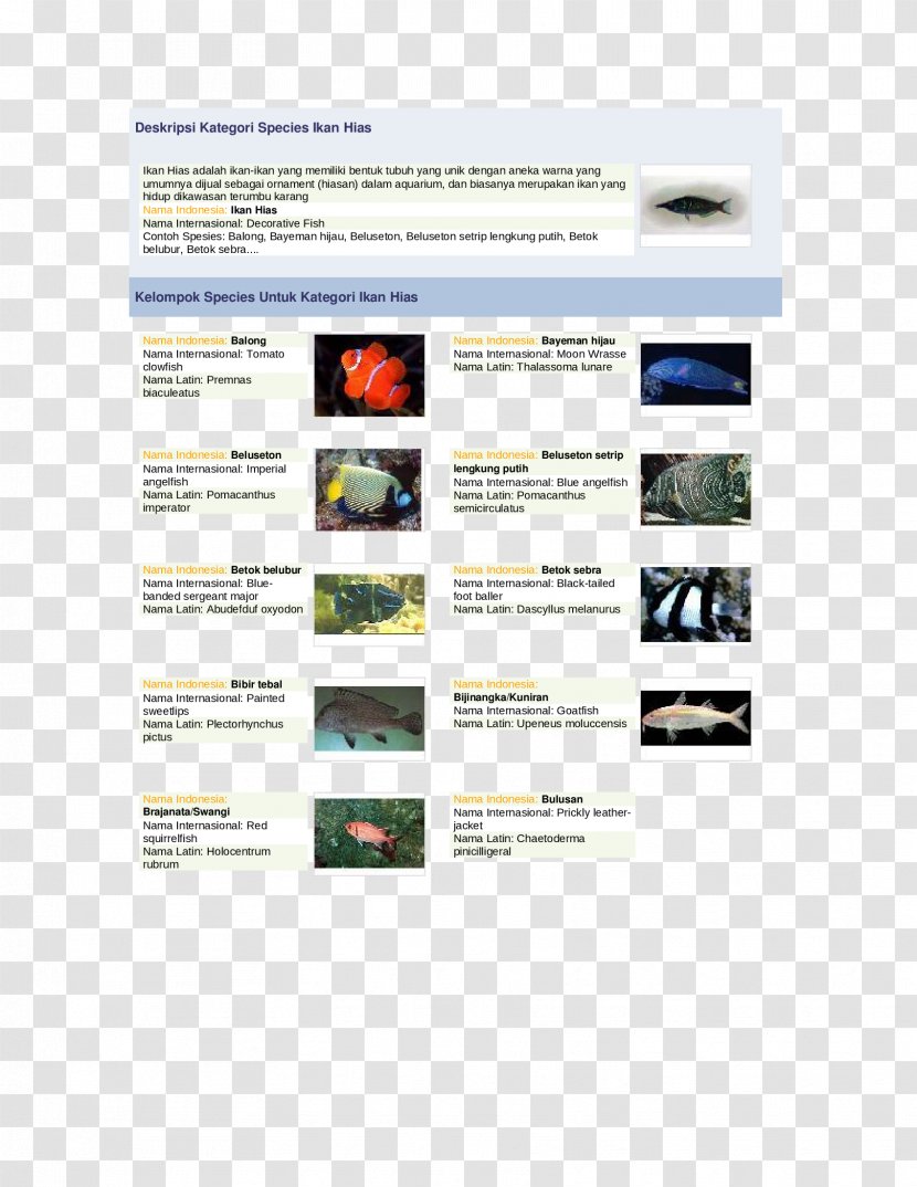 Ornamental Fish Maroon Clownfish Aquarium Species - Description Transparent PNG