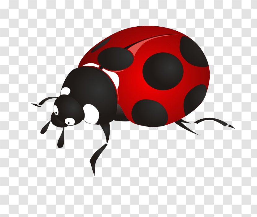 Beetle Ladybird Cartoon - Red - Cute Pattern Transparent PNG