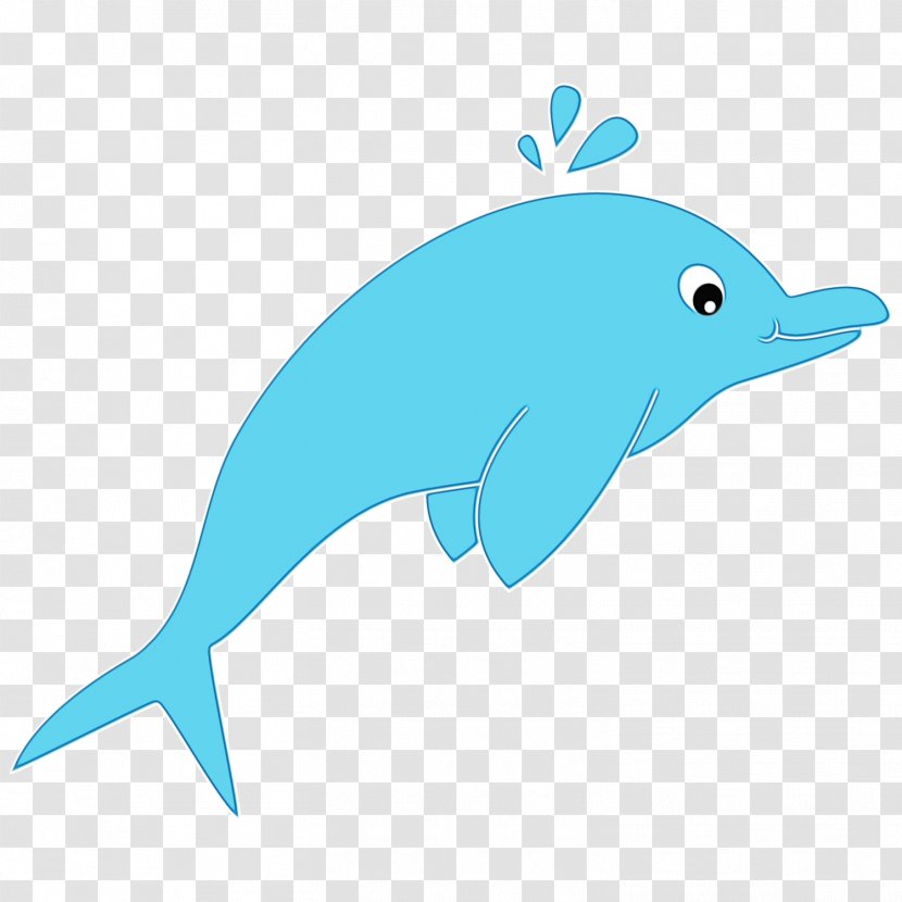 Common Bottlenose Dolphin Clip Art Tucuxi Illustration - Bowhead - Marine Mammal Transparent PNG