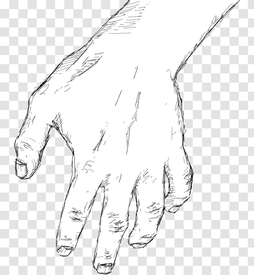 Thumb Hand Model Drawing Sketch - Shoe - Trunk Transparent PNG