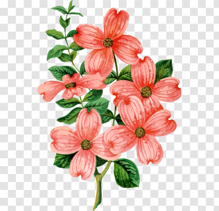 Floral Design Christmas Flower Bouquet Gift Clip Art Transparent PNG