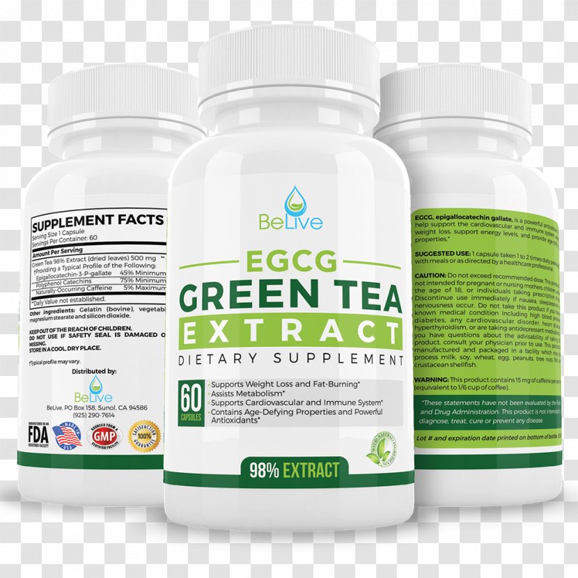 Dietary Supplement Green Tea Weight Loss Anti-obesity Medication - Adipose Tissue - Benefits Transparent PNG