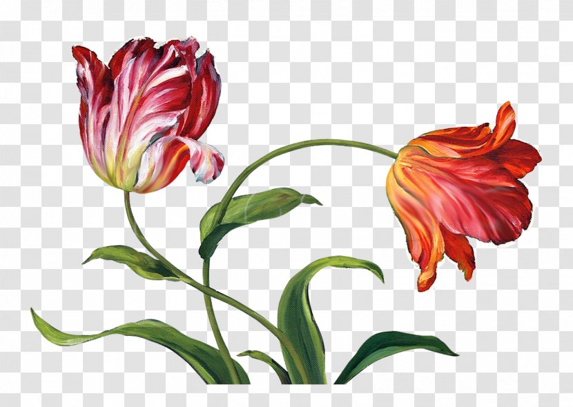 Flower Floral Design Tulip Painting Canvas Print - Art - Audit Transparent PNG