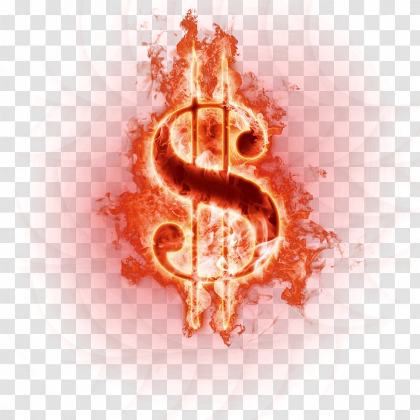 Belo Horizonte Jesusalxe9m Em Casa Com Nabokov Operaxe7xe3o Satiagraha Book - Cartoon - Fire Dollar Icon Transparent PNG