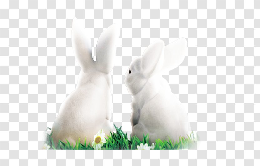 White Rabbit Domestic Easter Bunny Hare - Rabits And Hares - Snow Transparent PNG