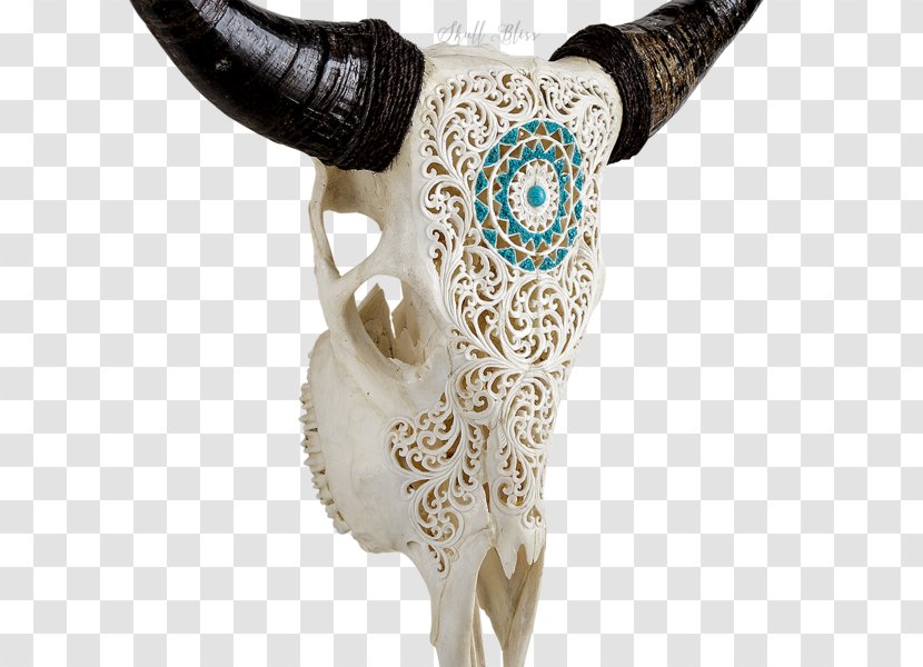 Horn Animal Skulls Bison Cattle - Bone - Skull Transparent PNG