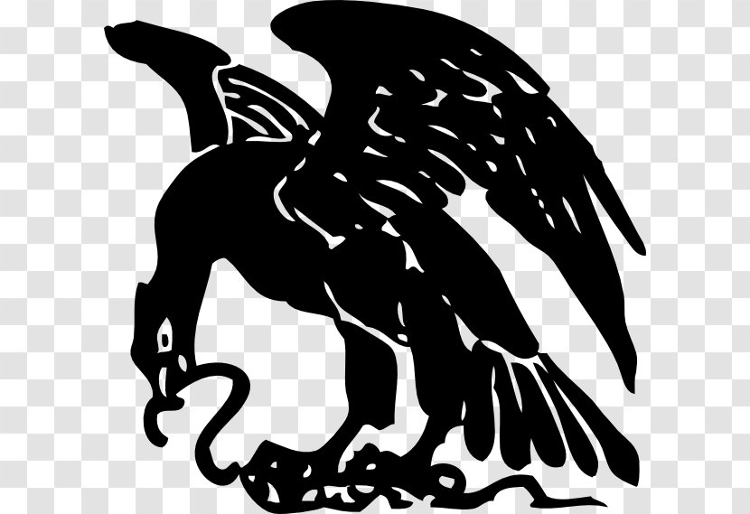 Snake Bald Eagle Symbol Clip Art - Fauna Transparent PNG