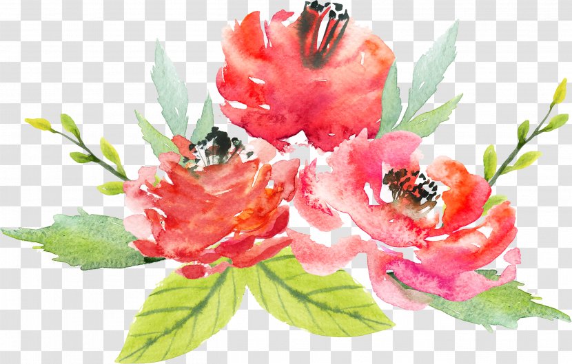 Floral Design Flower Watercolor Painting - Plant - Flowers Transparent PNG