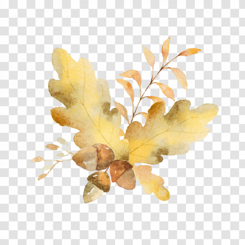 Yellow Leaf Plant Branch Flower Transparent PNG
