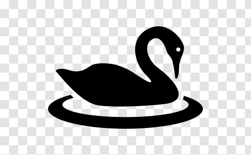 Black Swan Bird Clip Art - Beak Transparent PNG
