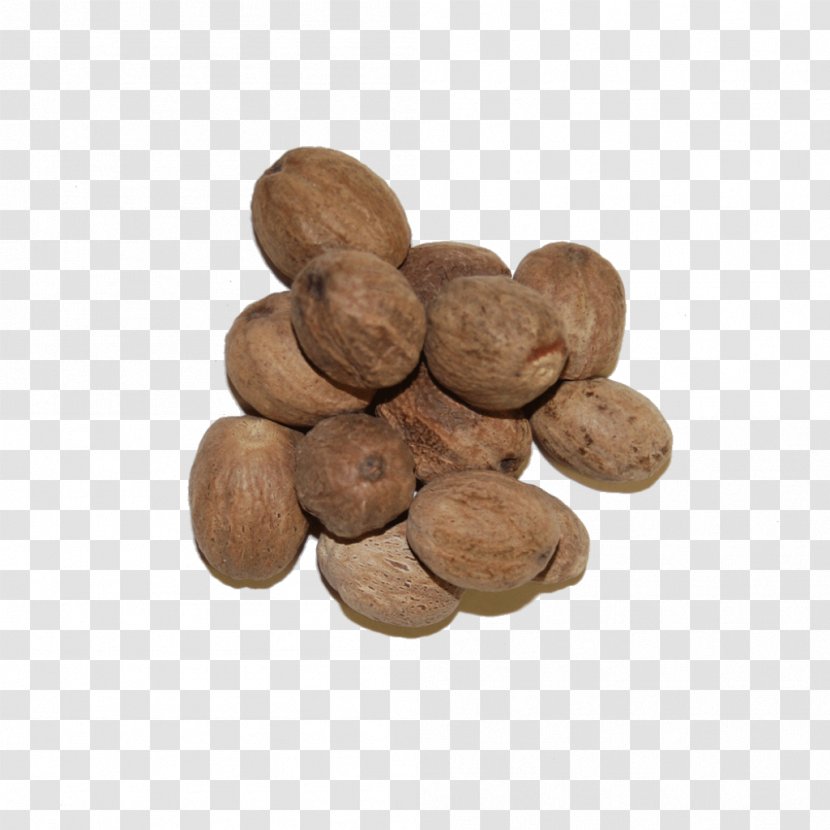 Nutmeg Oil Essential - Nut - Aromatic Herbs Transparent PNG