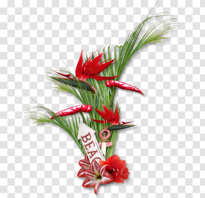 Floral Design Cut Flowers Strelitzia Reginae - Christmas Ornament - Flower Transparent PNG