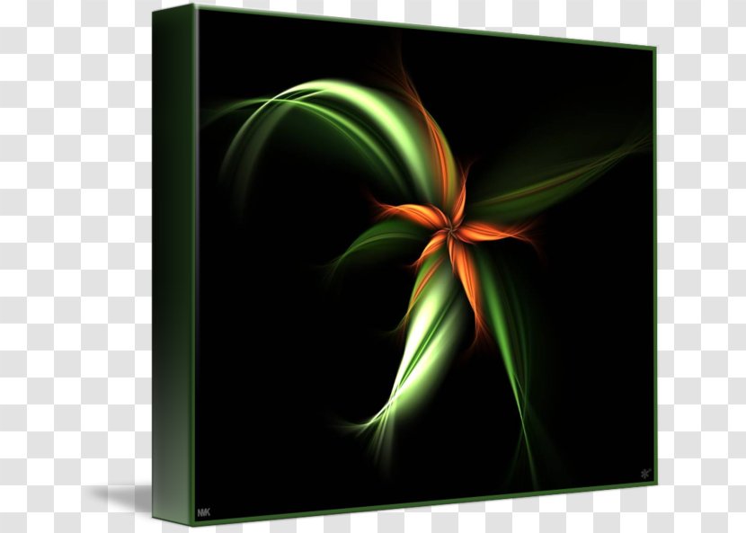 Still Life Photography Leaf Desktop Wallpaper - Computer Transparent PNG