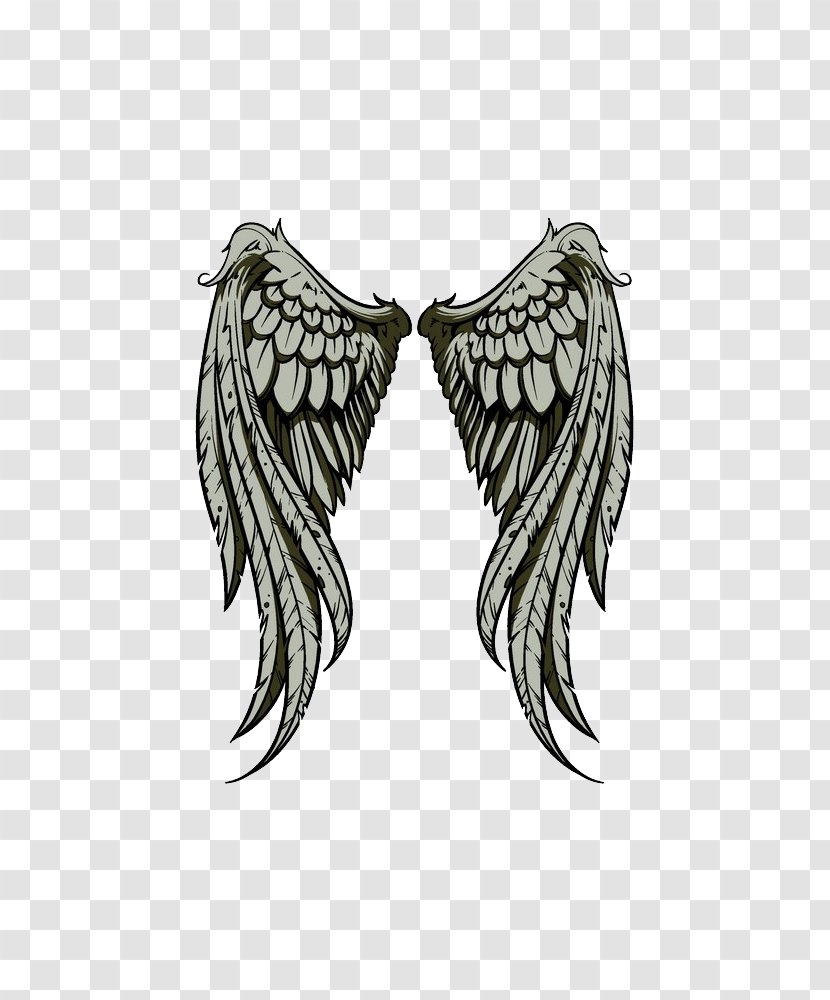 Drawing Illustration - Logo - Vector Wings Transparent PNG