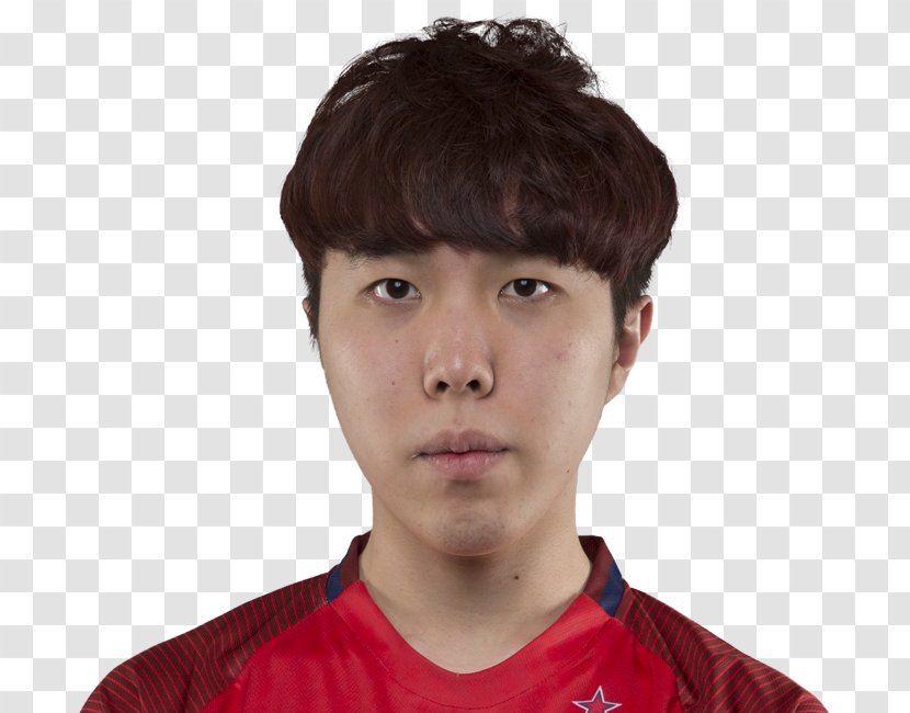 Electronic Sports League Of Legends Cheek Nose Chin - Brown Hair Transparent PNG