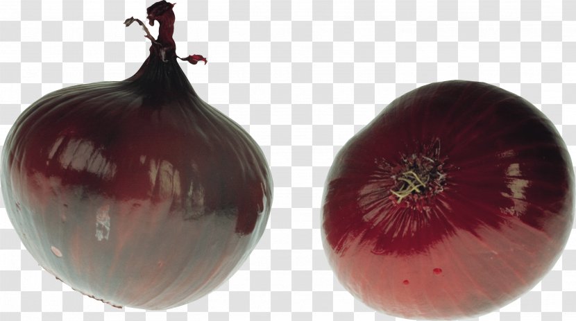 Onion Vegetable Piyaz - Heart - Image Transparent PNG
