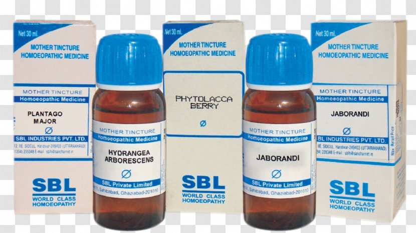 Homeopathy Tincture Medicine Pharmacy B. Jain - Pharmaceutical Drug Transparent PNG