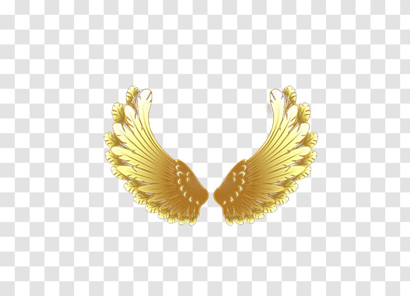 Download Computer File - Button - Golden Wings Transparent PNG