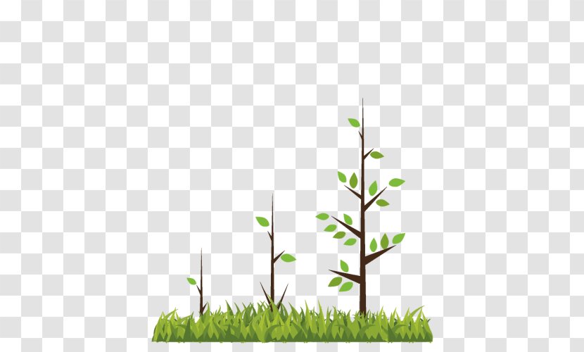 Branch Human Development Tree Plant - Bud Transparent PNG