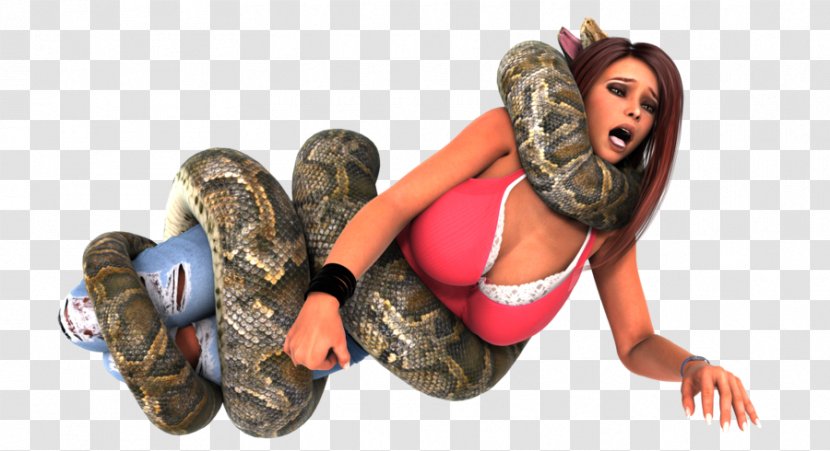 The Bully-Free Workplace: Stop Jerks, Weasels, And Snakes From Killing Your Organization Constriction Anaconda Reticulated Python - Heart - Snake Transparent PNG