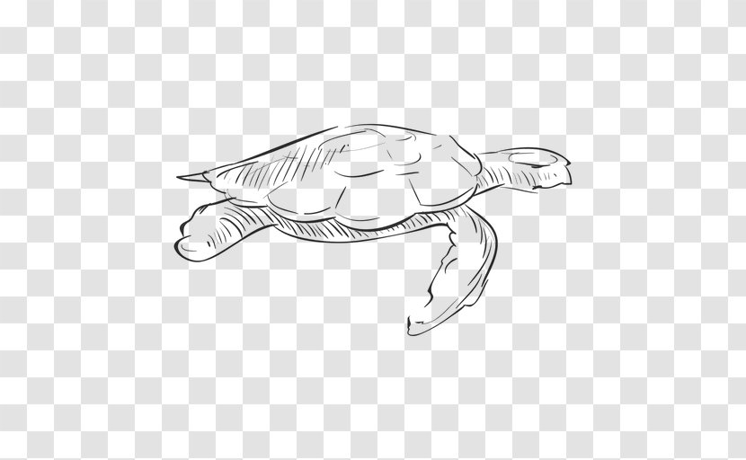 Reptile Drawing Turtle - Tortoise - Hand Drawn Transparent PNG