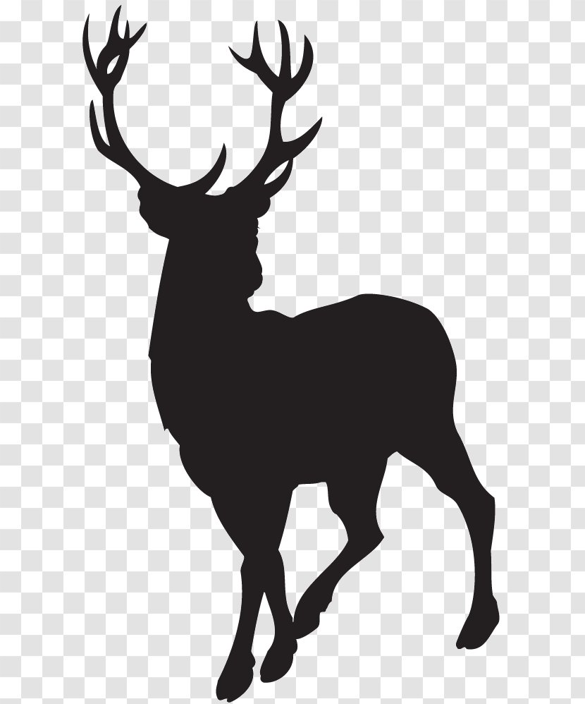 Deer Download Clip Art - Reindeer Transparent PNG
