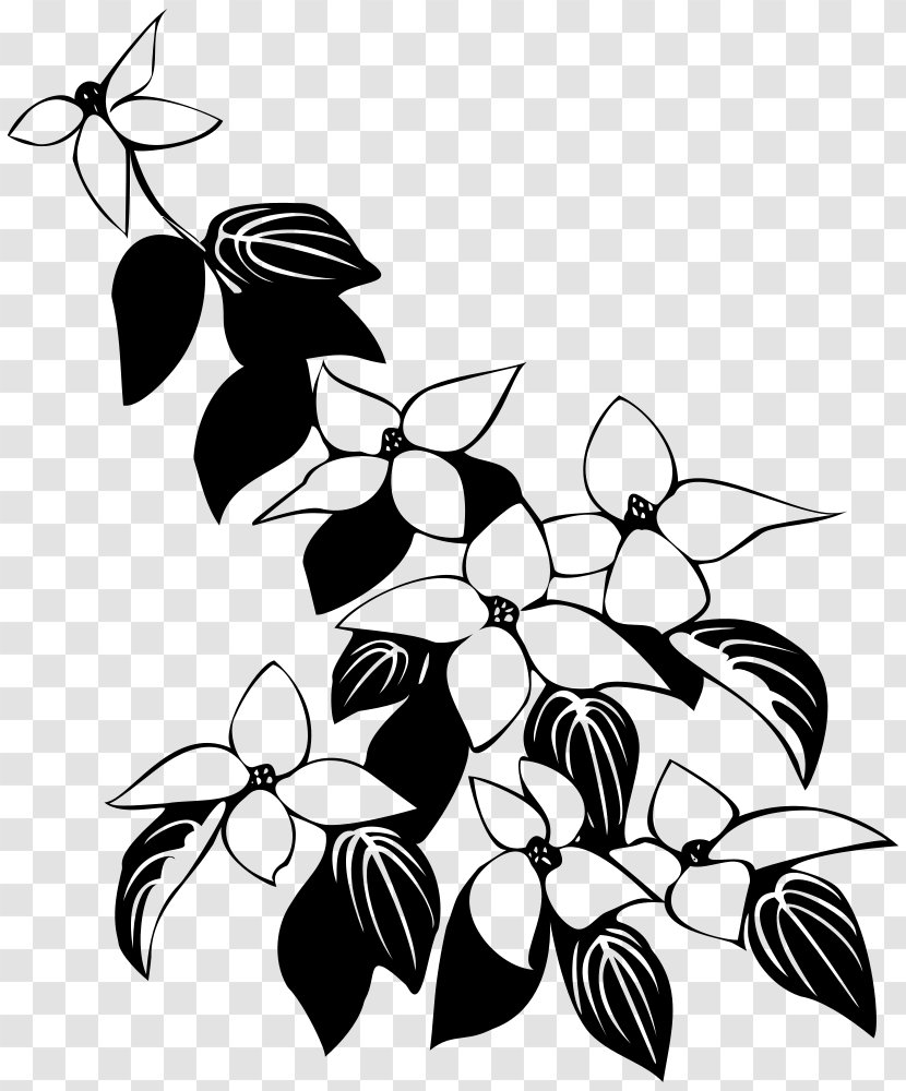 Clip Art Insect Leaf Plant Stem Pattern - Flower Transparent PNG