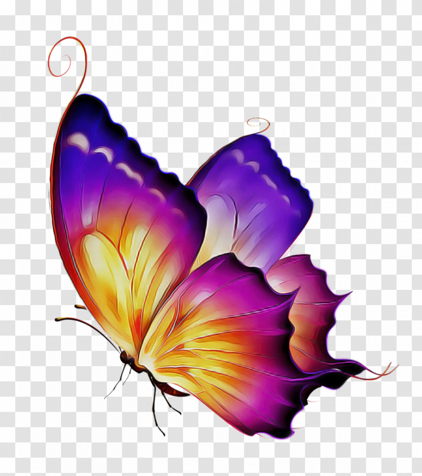 Monarch Butterfly Transparent PNG