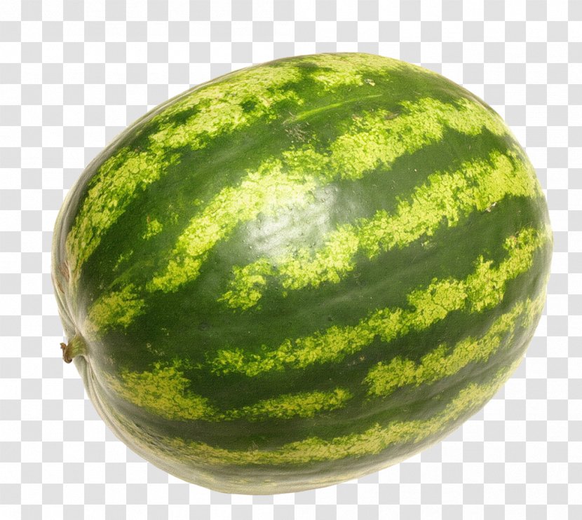 Watermelon Fruit Essay Berry - Cucumber Transparent PNG