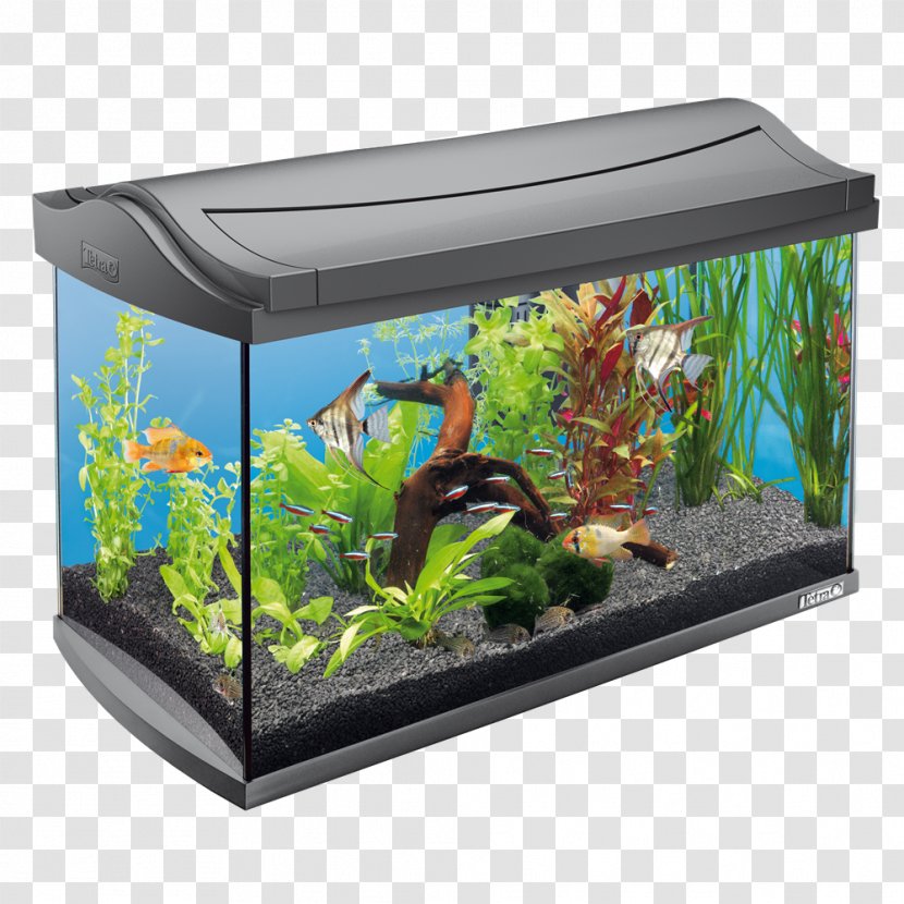 Aquarium Filters Tetra Tropical Liter - Freshwater - Drawing Transparent PNG