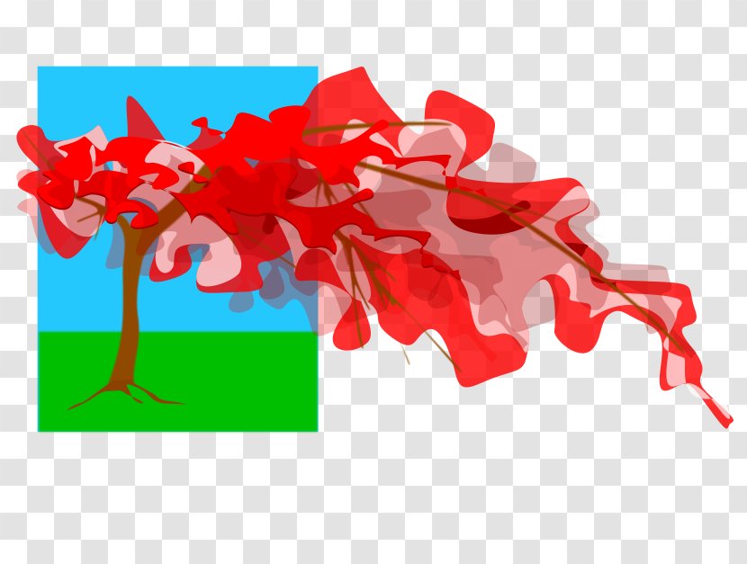 2018-01-15 Royal Poinciana Borinquen - Tree - Flamboyan Transparent PNG