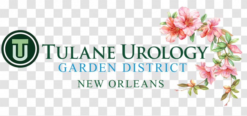 Tulane University Urology, Garden District - Petal - Flora Transparent PNG