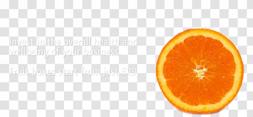 Blood Orange Knife Desktop Wallpaper - Diet Food - Fruit Banner Transparent PNG