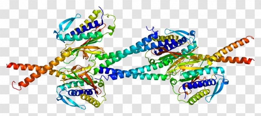 MAD1L1 Spindle Checkpoint Mitosis Protein Apparatus - Watercolor - Flower Transparent PNG